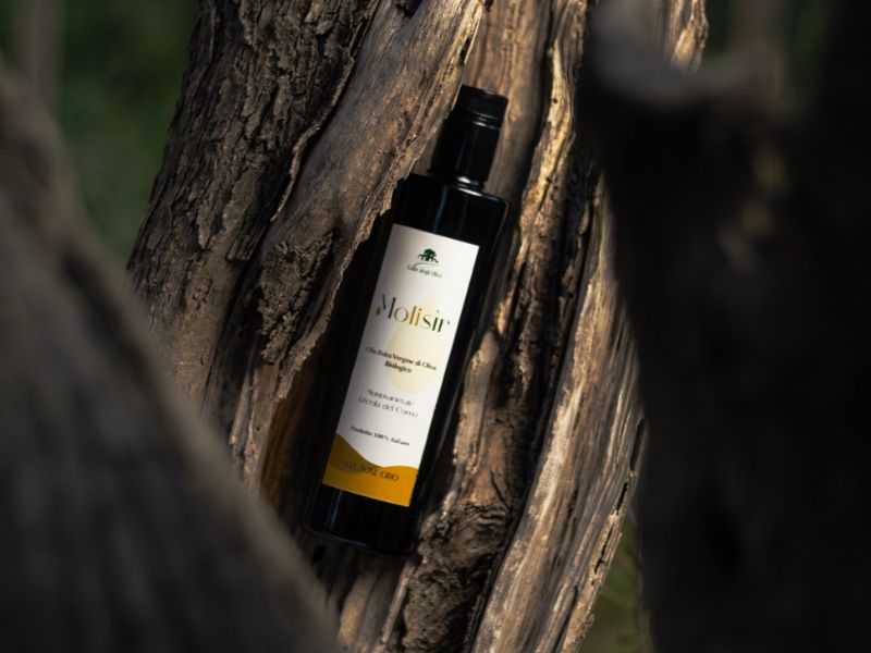 modi per usare l'olio extravergine di oliva Molisìr